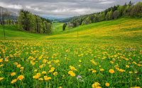 summer_2049405862